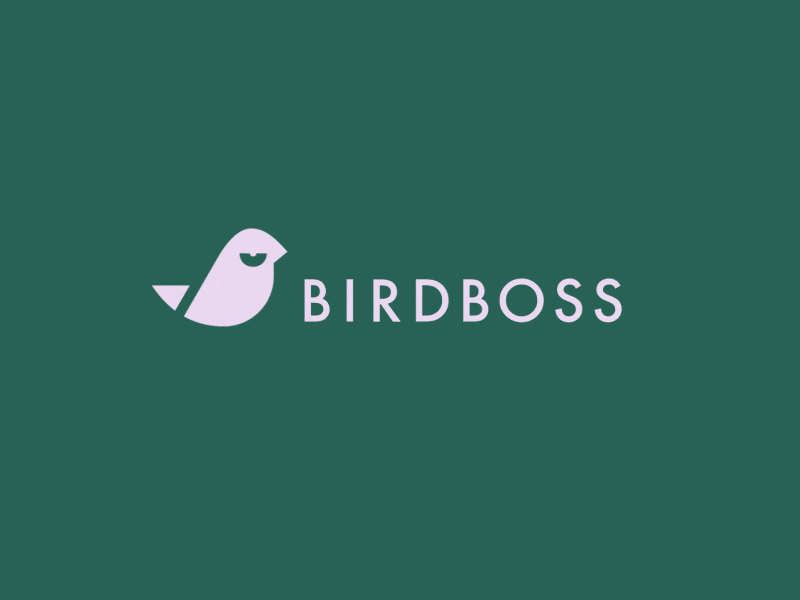 Birdboss_Dribbble_2-2